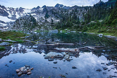 gorgeous Olympic national park